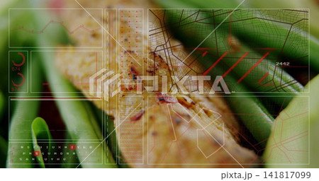 Scanning augmented reality system analyzing tan-brown plant stem at lab bench, with HUD overlays Scanning augmented reality system analyzing tan-brown plant stem at lab bench, with HUD overlays 141817099