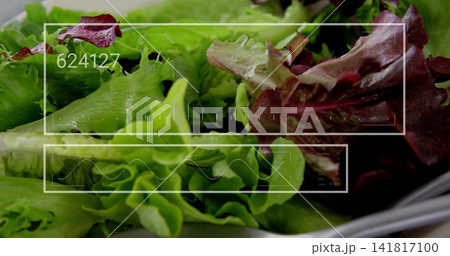 Showing overhead green-red lettuce at counter, with white bowl, droplets, HUD 624127 waveform ticks Showing overhead green-red lettuce at counter, with white bowl, droplets, HUD 624127 waveform ticks 141817100