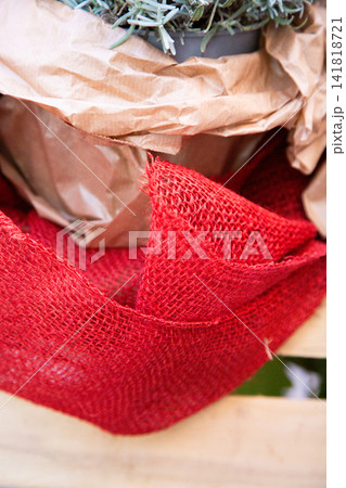 Close up of potted plant wrapped in brown paper with bright red mesh packaging, showing delicate green foliage, textured materials, soft natural light, and handmade gift presentation Close up of potted plant wrapped in brown paper with bright red mesh packaging, showing delicate green foliage, textured materials, soft natural light, and handmade gift presentation 141818721