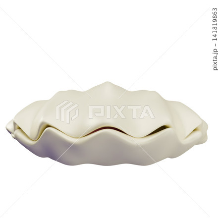 Closed shell 3D cartoon plastic style vector illustration, realistic underwater sea or ocean seashell animal Closed shell 3D cartoon plastic style vector illustration, realistic underwater sea or ocean seashell animal 141819863