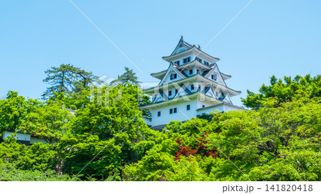 郡上八幡城 141820418