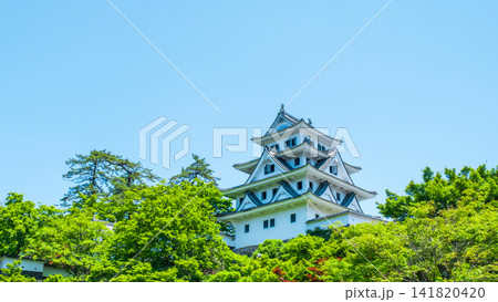 郡上八幡城 郡上八幡城 141820420
