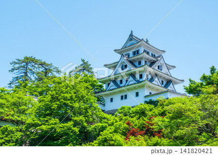 郡上八幡城 郡上八幡城 141820421