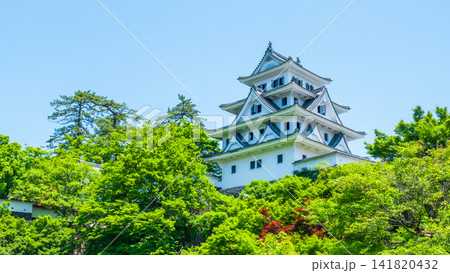 郡上八幡城 郡上八幡城 141820432
