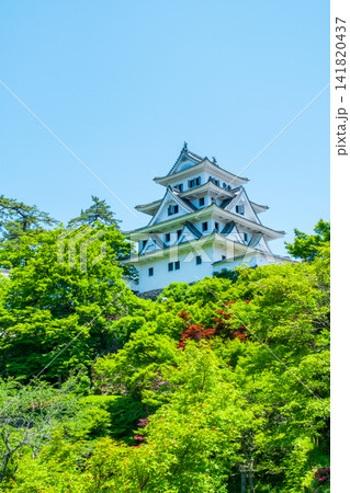 郡上八幡城 141820437
