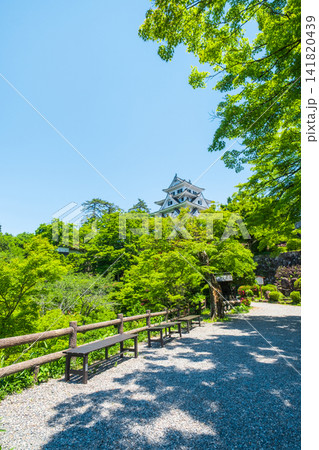 郡上八幡城 郡上八幡城 141820439