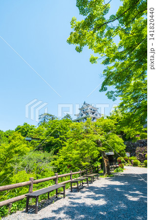 郡上八幡城 郡上八幡城 141820440