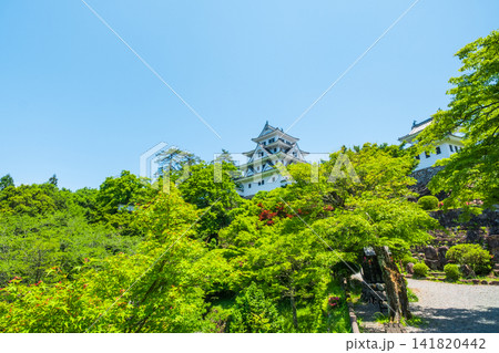 郡上八幡城 郡上八幡城 141820442
