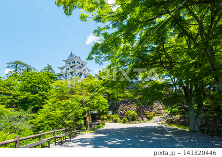 郡上八幡城 郡上八幡城 141820446