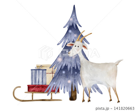 Watercolor illustration of white goat next to blue Christmas tree and sled with gifts boxes wrapped in striped blue, beige, dotted red paper. Composition for holiday cards, banners, invitations 141820663