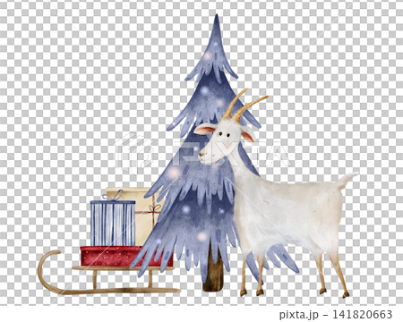 Watercolor illustration of white goat next to blue Christmas tree and sled with gifts boxes wrapped in striped blue, beige, dotted red paper. Composition for holiday cards, banners, invitations 141820663