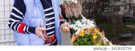 A 50-year-old woman tends to autumn flowers on her balcony. She focuses on each plant with care while surrounded by city buildings. It is a cool afternoon in the fall season, banner A 50-year-old woman tends to autumn flowers on her balcony. She focuses on each plant with care while surrounded by city buildings. It is a cool afternoon in the fall season, banner 141820754