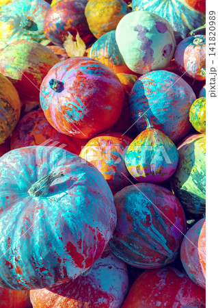 Full frame background of Pumpkins. Many Pumpkins on the grass. Autumn background. Halloween, Thanksgiving, Autumn, Harvest background. Vertical banner 141820989