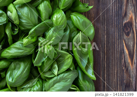 Fresh Basil on Wooden Table. Fresh Basil on Wooden Table. 141821399