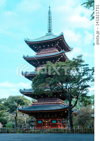 寛永寺 五重塔 寛永寺 五重塔 141821731