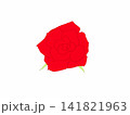赤いバラ 141821963