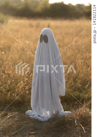Traditional homemade ghost costume worn by child in dry autumn field Traditional homemade ghost costume worn by child in dry autumn field 141822114