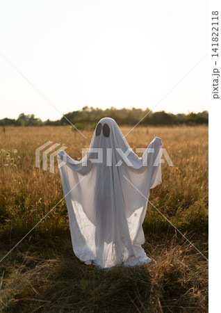 Silhouette of playful ghost raising arms in sunlit field Silhouette of playful ghost raising arms in sunlit field 141822118