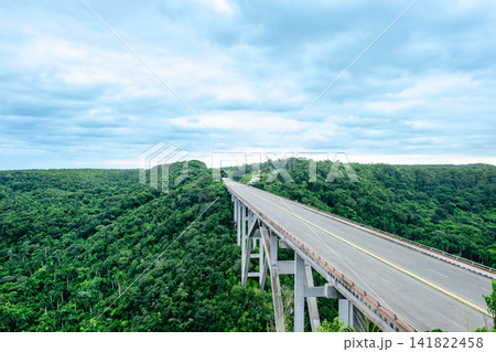 The Bacunayagua Bridge, located in Cuba, is the highest bridge on the island. The Bacunayagua Bridge, located in Cuba, is the highest bridge on the island. 141822458