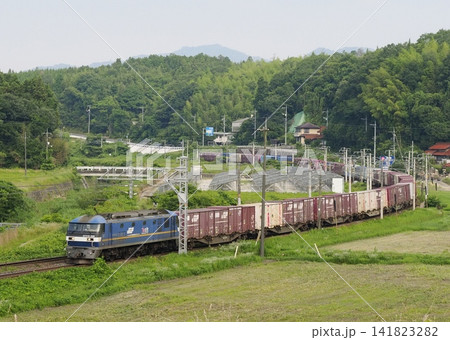 丘陵地帯のカーブを行く貨物列車（山陽本線　白市-西高屋） 141823282