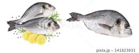Fish dorado isolated on white background with full depth of field. Top view. Flat lay Fish dorado isolated on white background with full depth of field. Top view. Flat lay 141823631