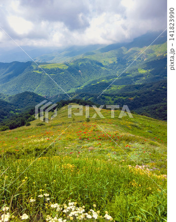 Mountain meadow with colorful wildflowers, rolling hills, and cloudy sky Mountain meadow with colorful wildflowers, rolling hills, and cloudy sky 141823990