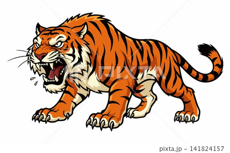 Vector illustration of a tiger stalking and roaring fiercely. Vector illustration of a tiger stalking and roaring fiercely. 141824157