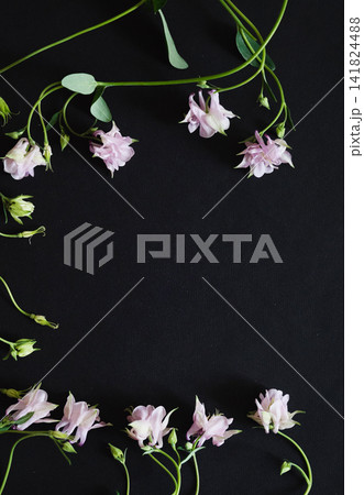 The picture shows white flowers that symbolize the theme of funerals and condolences. The picture shows white flowers that symbolize the theme of funerals and condolences. 141824488