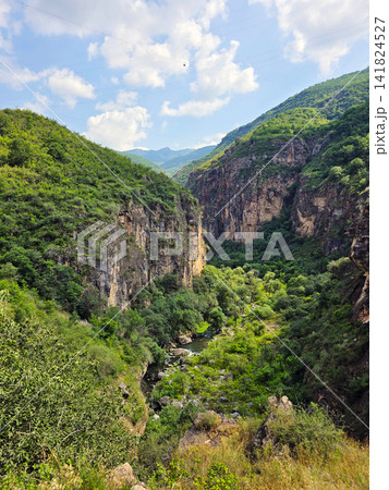 Mountainous gorge with dense forest and flowing stream Mountainous gorge with dense forest and flowing stream 141824527