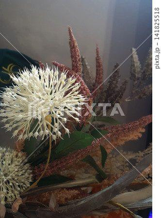 Elegant close-up of a decorative dried flower arrangement featuring a white spherical allium blossom, pastel botanical Elegant close-up of a decorative dried flower arrangement featuring a white spherical allium blossom, pastel botanical 141825518