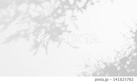 Abstract gobo leaf shadow overlay on transparent background. Soft blurred foliage silhouette with organic botanical texture. Abstract gobo leaf shadow overlay on transparent background. Soft blurred foliage silhouette with organic botanical texture. 141825762