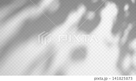Abstract foliage shadow overlay isolated on transparent background. Tree branch gobo effect with soft diffused silhouette. Abstract foliage shadow overlay isolated on transparent background. Tree branch gobo effect with soft diffused silhouette. 141825873