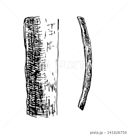 Wood fragments and branch sticks hand drawn vector ink. Engraving sketch monochrome line art graphic design element ideal for organic rustic packaging, botanical eco menu design and nature art print Wood fragments and branch sticks hand drawn vector ink. Engraving sketch monochrome line art graphic design element ideal for organic rustic packaging, botanical eco menu design and nature art print 141826750