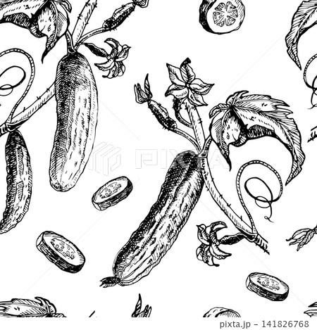 Seamless cucumber pattern with cucumbers slices, leaves, tendrils, Hand drawn vector ink engraving sketch line art graphic element for vegetable food packaging, kitchen textile and fabric print art Seamless cucumber pattern with cucumbers slices, leaves, tendrils, Hand drawn vector ink engraving sketch line art graphic element for vegetable food packaging, kitchen textile and fabric print art 141826768