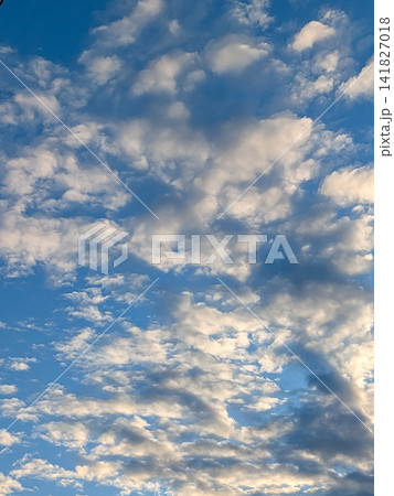 青空いっぱいに広がる羊雲|爽やかな空と自然を感じる背景素材 青空いっぱいに広がる羊雲|爽やかな空と自然を感じる背景素材 141827018