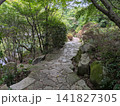 日本庭園の木漏れ日が差し込む静かな石畳の小道と苔むす岩 日本庭園の木漏れ日が差し込む静かな石畳の小道と苔むす岩 141827305