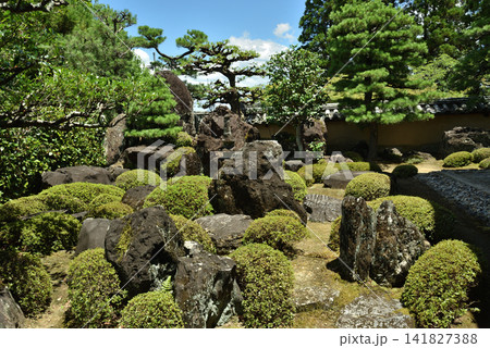 夏の酬恩庵一休寺 方丈北庭(京都府京田辺市) 夏の酬恩庵一休寺 方丈北庭(京都府京田辺市) 141827388