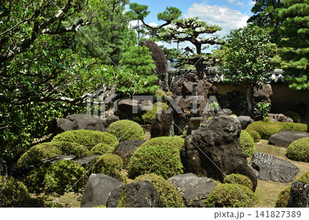 夏の酬恩庵一休寺　方丈北庭(京都府京田辺市) 141827389