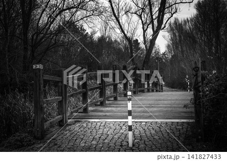 Wooden Bridge in Park Landscape in Black and White Wooden Bridge in Park Landscape in Black and White 141827433