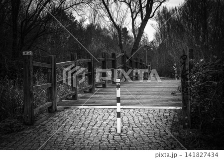 Wooden Bridge in Park Landscape in Black and White Wooden Bridge in Park Landscape in Black and White 141827434