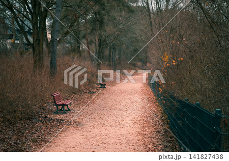 Autumn Park Path with Empty Benches and Fallen Leaves Autumn Park Path with Empty Benches and Fallen Leaves 141827438