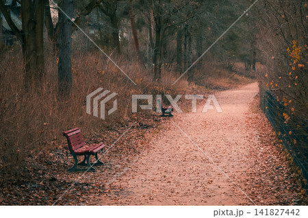 Autumn Park Path with Empty Benches and Fallen Leaves Autumn Park Path with Empty Benches and Fallen Leaves 141827442