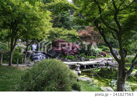 Japanese garden Kyotto garden at Holland park in Londdon- amazing May - cascade of waterfalls Japanese garden Kyotto garden at Holland park in Londdon- amazing May - cascade of waterfalls 141827563