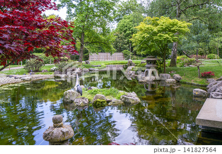 Japanese  garden  Kyoto garden at Holland park  in London 141827564