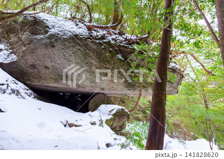 屋久島白谷雲水峡 辻の岩屋(冬 屋久島白谷雲水峡 辻の岩屋(冬 141828620