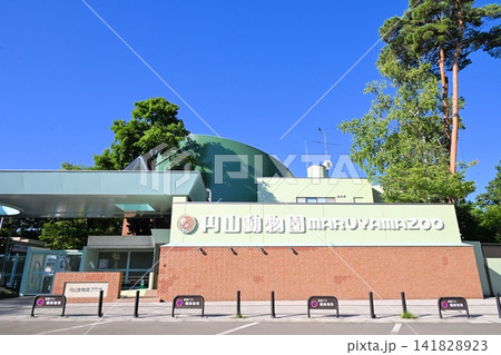 札幌市円山動物園 141828923