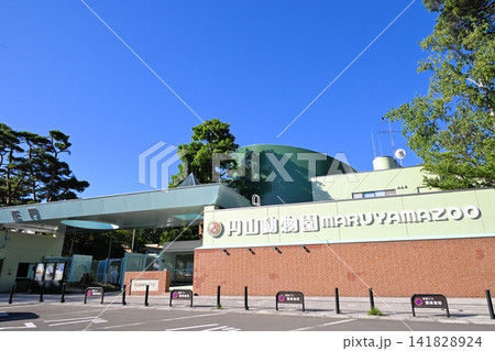 札幌市円山動物園 141828924