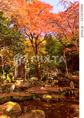 紅葉が美しい晩秋の風景 141828966