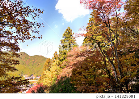 紅葉が美しい晩秋の風景 紅葉が美しい晩秋の風景 141829091