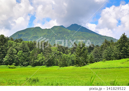 大江湿原と燧ケ岳 夏の風景 大江湿原と燧ケ岳 夏の風景 141829522
